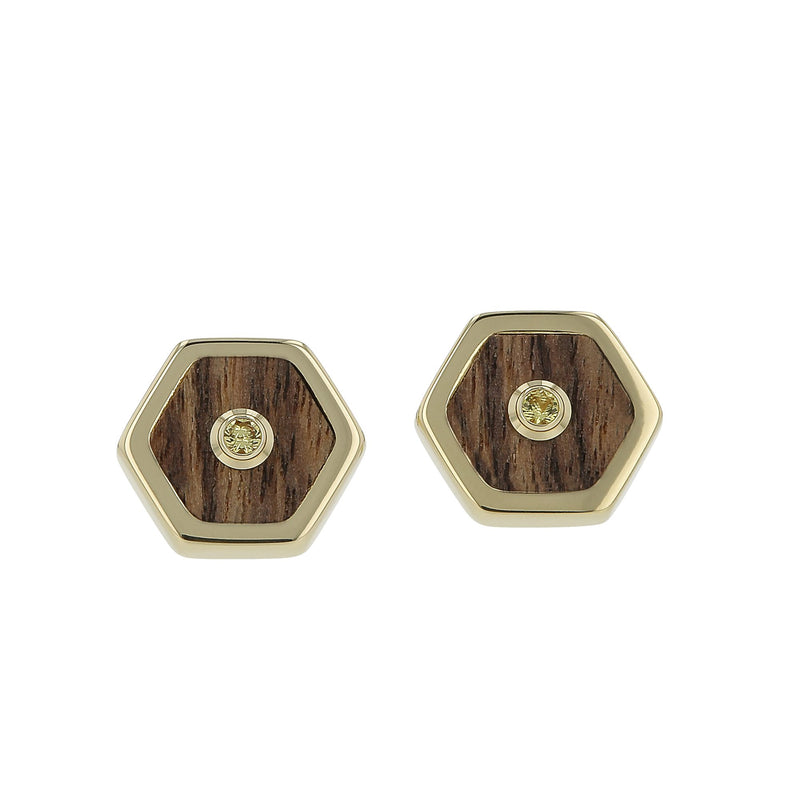 Gigi Earrings | Black walnut wood stud earrings with stones.